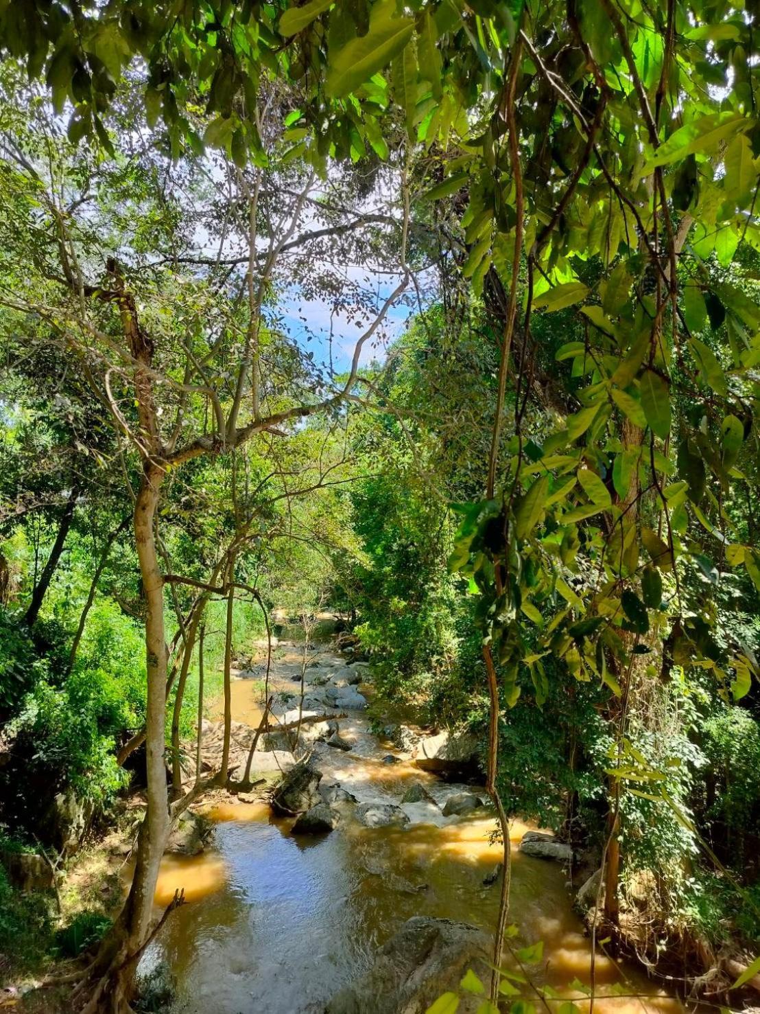 ماي ريم Maesa Greenery Hill Sha المظهر الخارجي الصورة