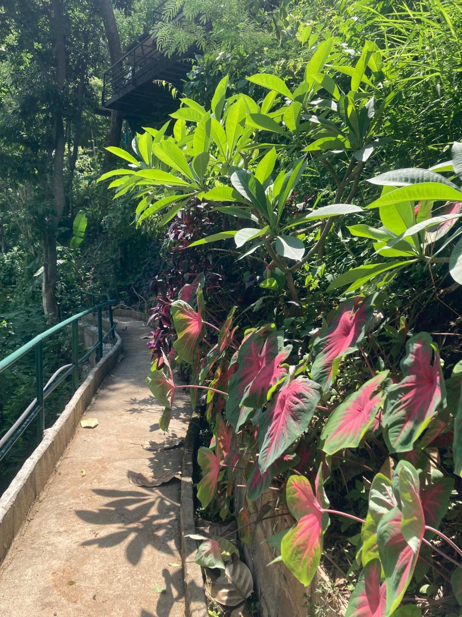 ماي ريم Maesa Greenery Hill Sha المظهر الخارجي الصورة